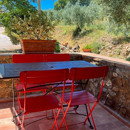 Agriturismo Schiaccia Ghiande Massa Marittima Eksteriør billede