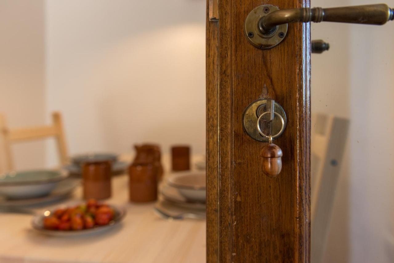 Agriturismo Schiaccia Ghiande Massa Marittima Eksteriør billede